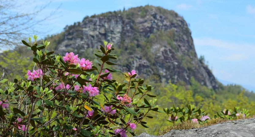 blue ridge mountains trip